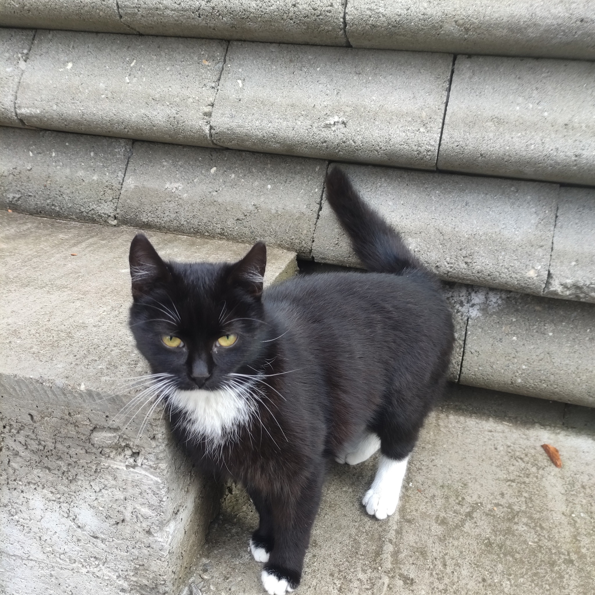 Imagine suplimentară