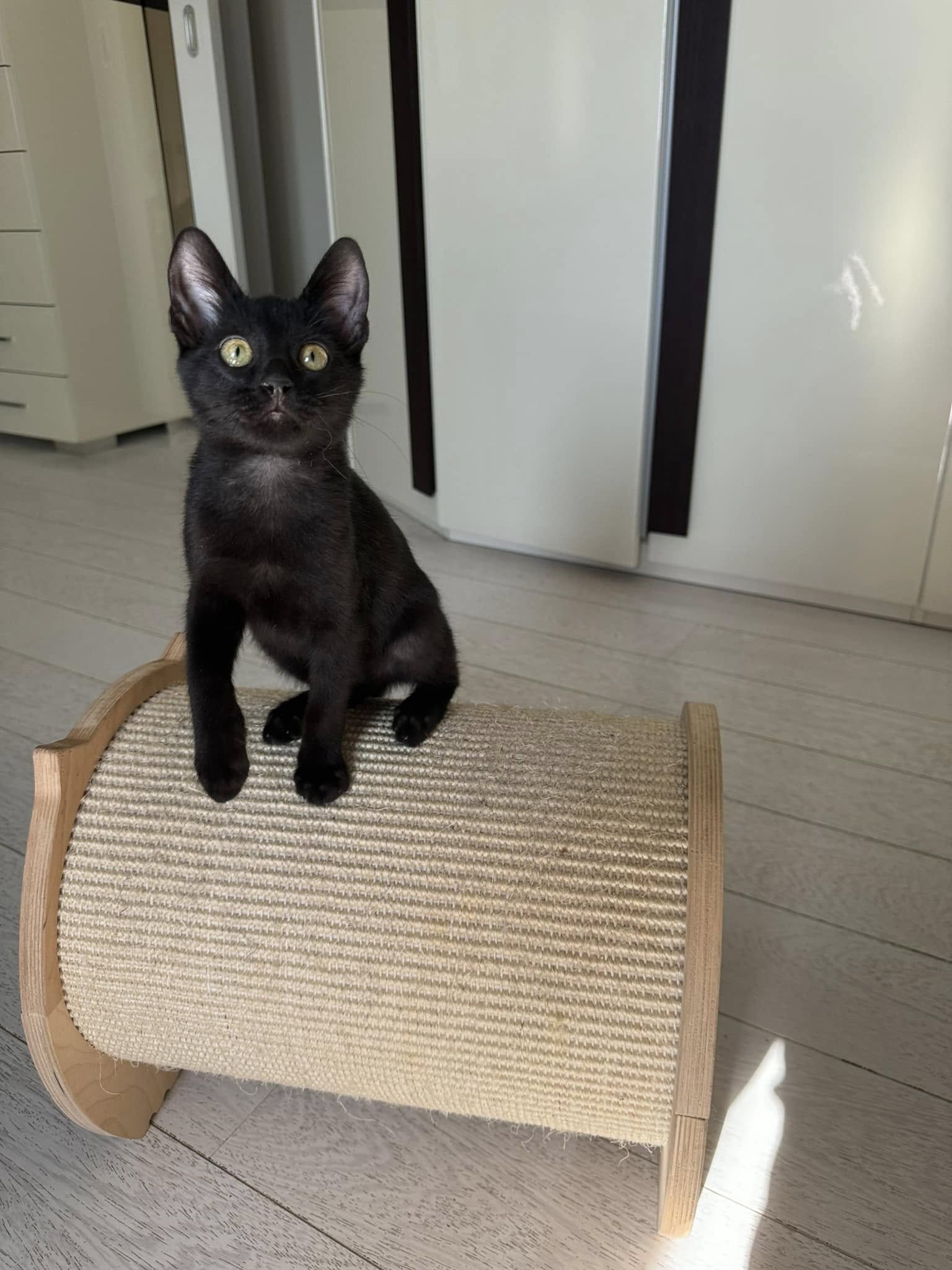 Imagine suplimentară